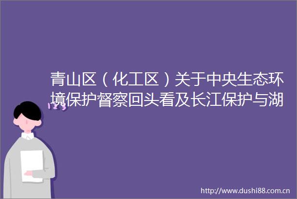 青山区（化工区）关于中央生态环境保护督察回头看及长江保护与湖泊开发专项督察反馈意见2项问题整改情况的销号公示
