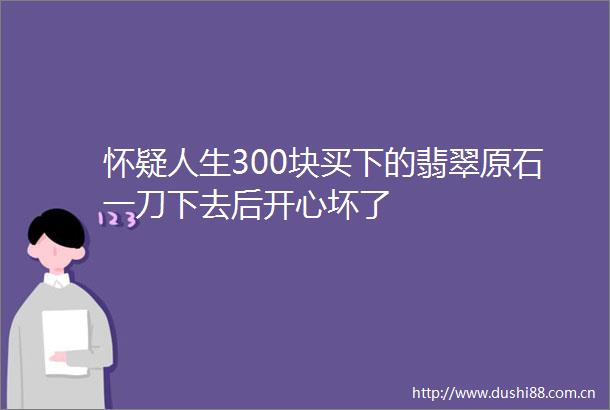 怀疑人生300块买下的翡翠原石一刀下去后开心坏了