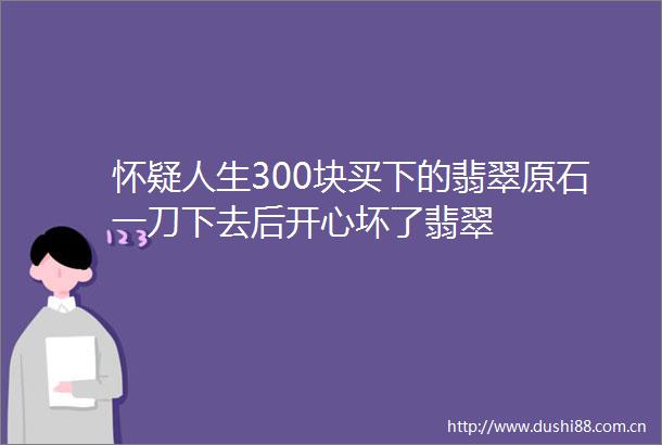 怀疑人生300块买下的翡翠原石一刀下去后开心坏了翡翠