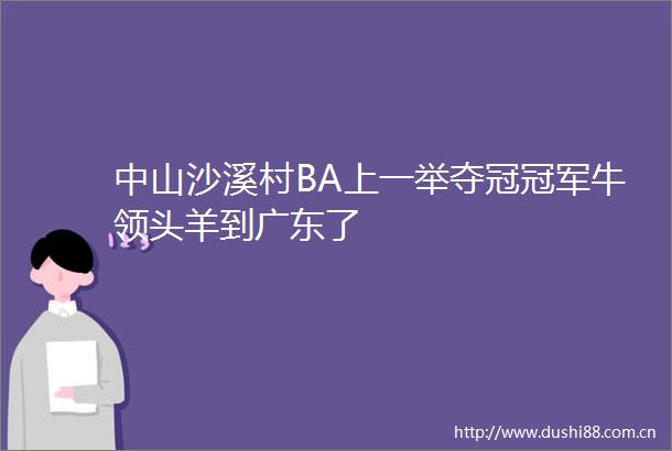 中山沙溪村BA上一举夺冠冠军牛领头羊到广东了
