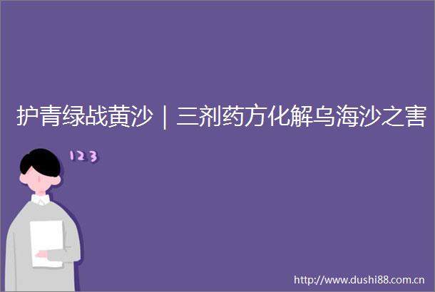 护青绿战黄沙｜三剂药方化解乌海沙之害