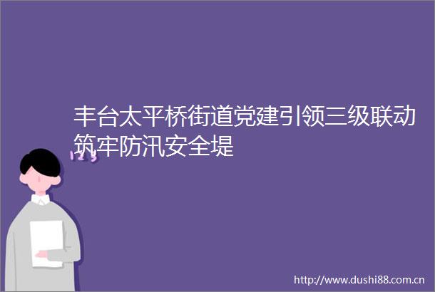 丰台太平桥街道党建引领三级联动筑牢防汛安全堤