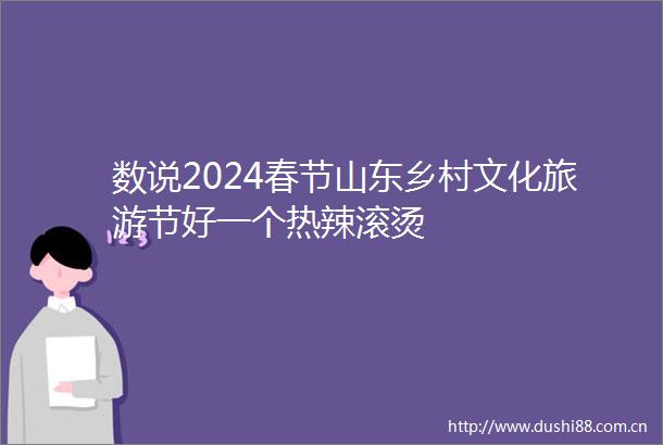 数说2024春节山东乡村文化旅游节好一个热辣滚烫