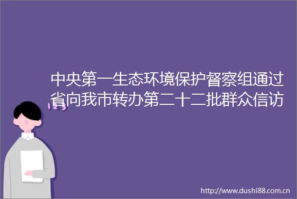 中央第一生态环境保护督察组通过省向我市转办第二十二批群众件