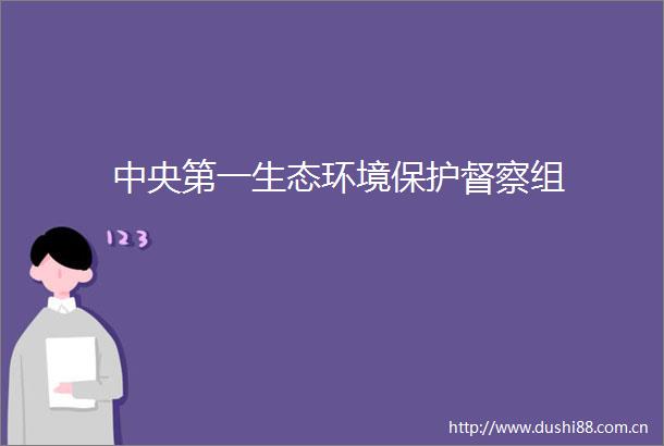 中央第一生态环境保护督察组