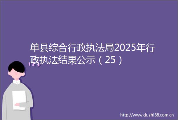 单县综合行政局2025年行政结果公示（25）