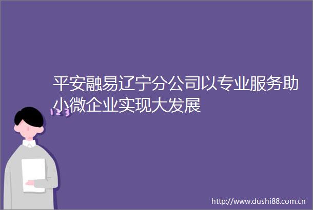 平安融易辽宁分公司以专业服务助小微企业实现大发展