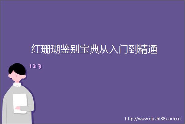 红珊瑚鉴别宝典从入门到精通