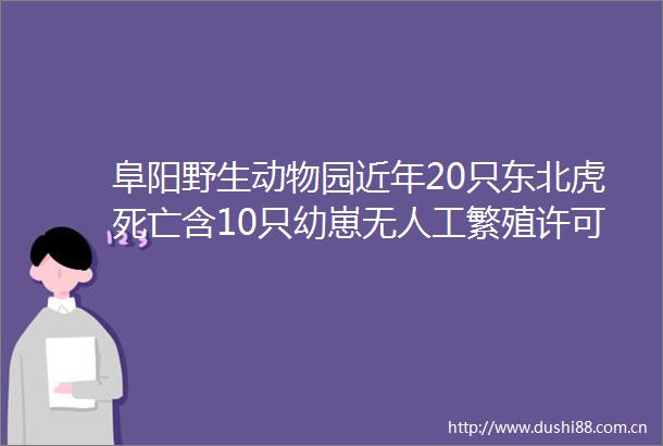 阜阳野生动物园近年20只东北虎死亡含10只幼崽无人工繁殖许可证