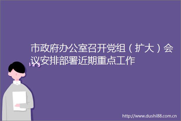 市办公室召开党组（扩大）会议安排部署近期重点工作