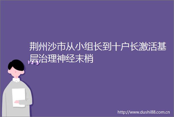 荆州沙市从小组长到十户长激活基层治理神经末梢