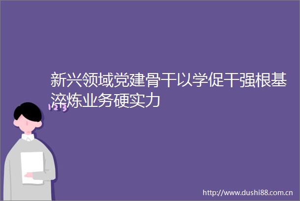 新兴领域党建骨干以学促干强根基淬炼业务硬实力