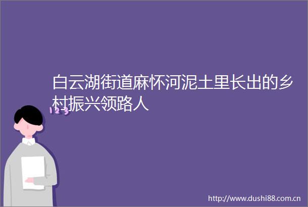 白云湖街道麻怀河泥土里长出的乡村振兴领路人
