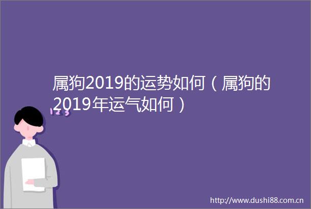 属狗2019的运势如何（属狗的2019年运气如何）