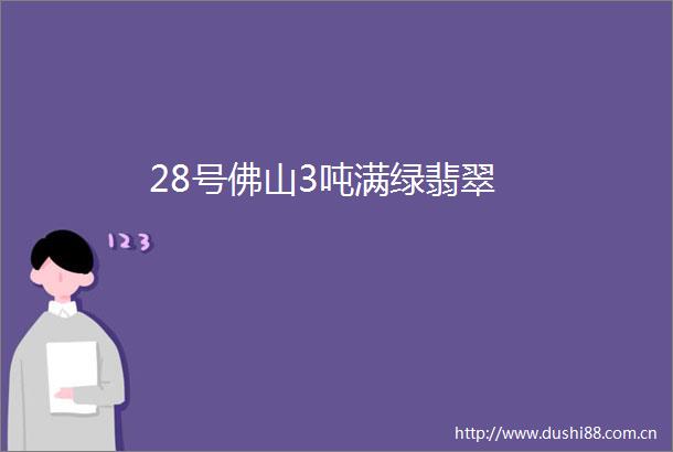 28号佛山3吨满绿翡翠