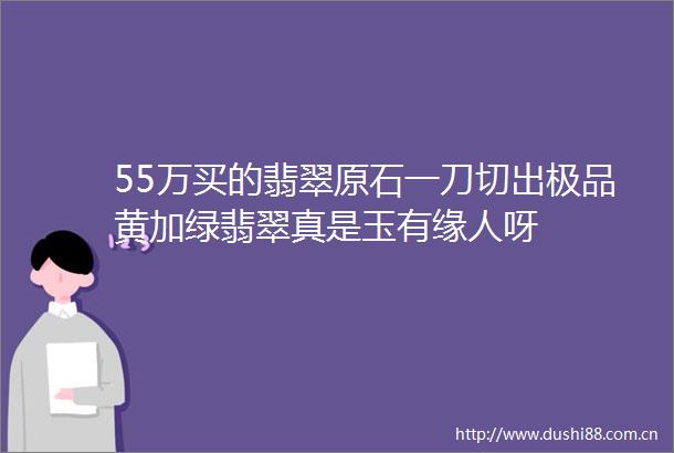 55万买的翡翠原石一刀切出极品黄加绿翡翠真是玉有缘人呀