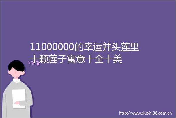 11000000的幸运并头莲里十颗莲子寓意十全十美