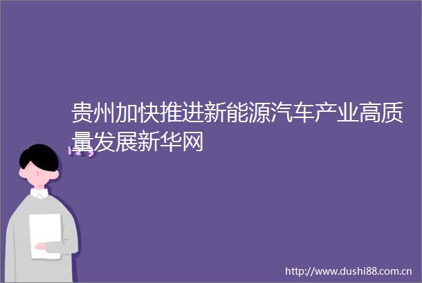 贵州加快推进新能源汽车产业高质量发展新华网