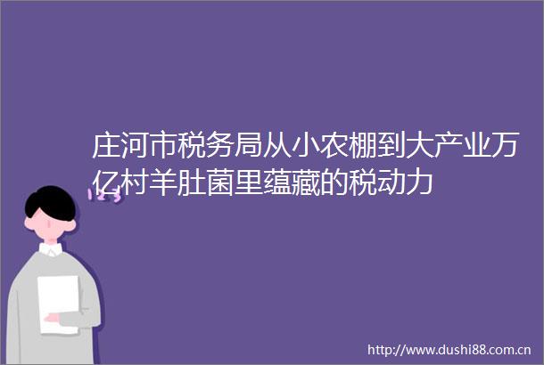 庄河市税务局从小农棚到大产业万亿村羊肚菌里蕴藏的税动力