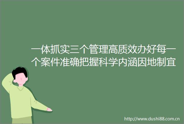 一体抓实三个管理高质效办好每一个案件准确把握科学内涵因地制宜做实三个管理
