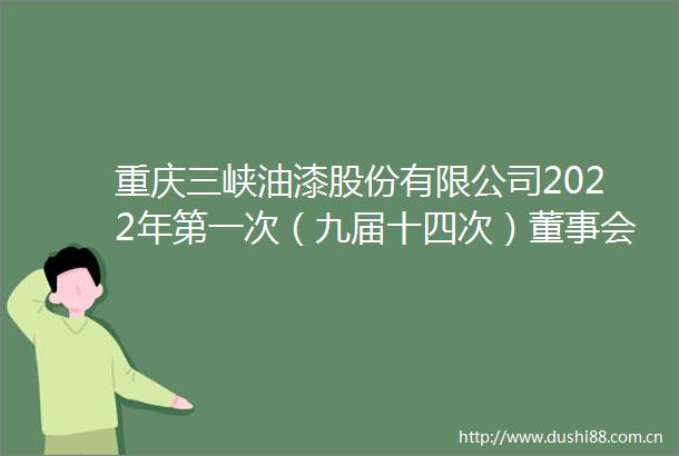 重庆三峡油漆股份有限公司2022年第一次（九届十四次）董事会决议公告