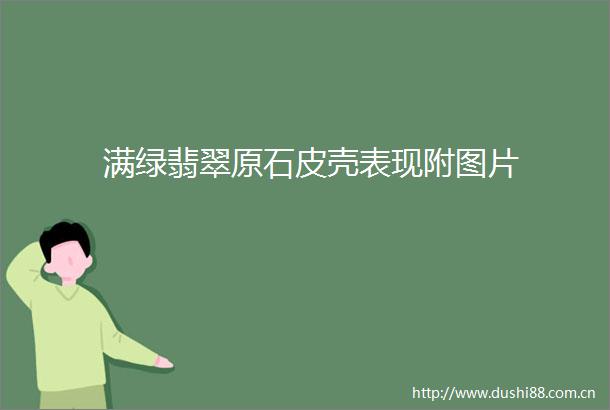 满绿翡翠原石皮壳表现附图片