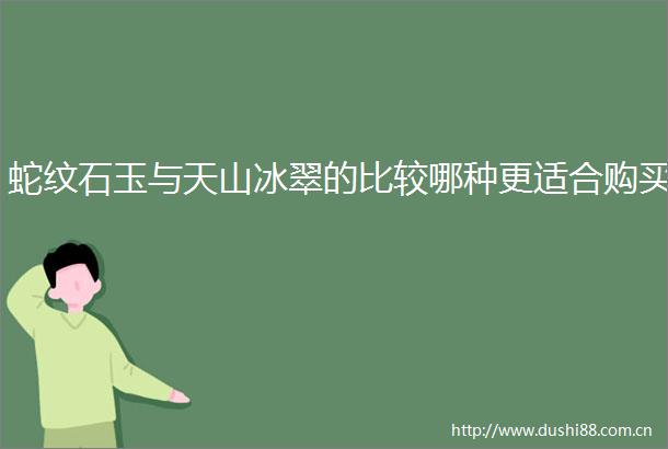蛇纹石玉与天山冰翠的比较哪种更适合购买