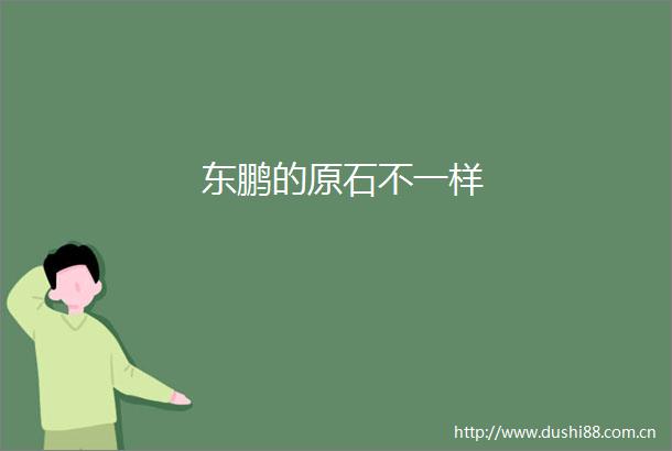 东鹏的原石不一样