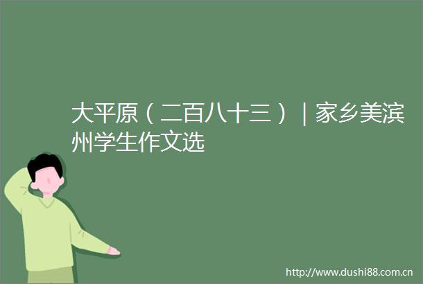 大平原（二百八十三）｜家乡美滨州学生作文选