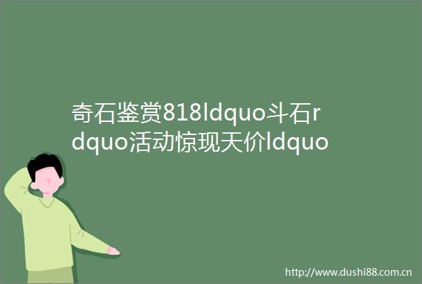 奇石鉴赏818ldquo斗石rdquo活动惊现天价ldquo文字石rdquo