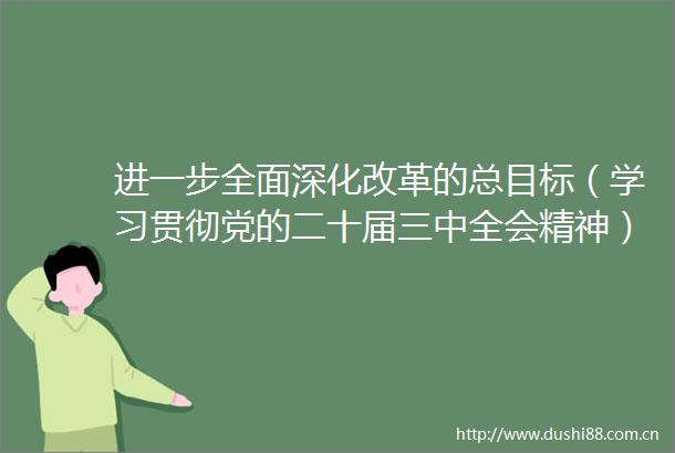 进一步全面深化改革的总目标（学习贯彻党的二十届三中全会精神）