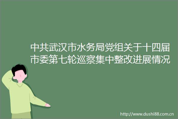 武汉市水务局党组关于十四届市委第七轮巡察集中整改进展情况的通报
