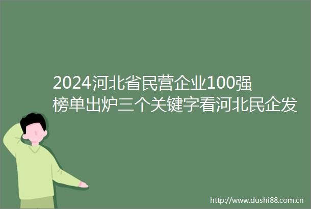 2024河北省民营企业100强榜单出炉三个关键字看河北民企发展之变