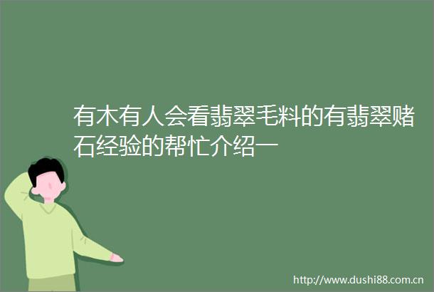 有木有人会看翡翠毛料的有翡翠赌石经验的帮忙介绍一