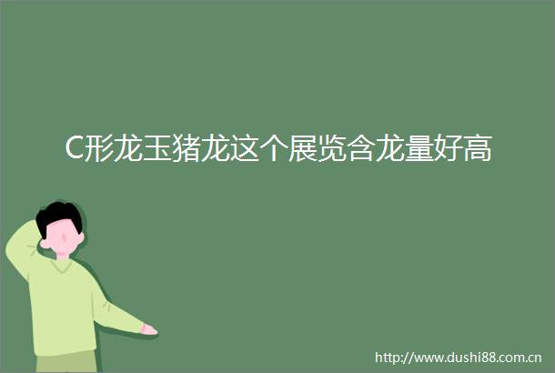 C形龙玉猪龙这个展览含龙量好高