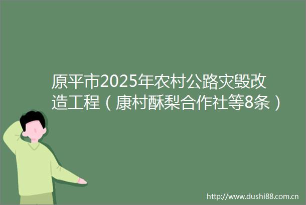 原平市2025年农村公路灾毁改造工程（康村酥梨合作社等8条）监理1标段招标公告