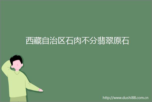 西藏自治区石肉不分翡翠原石