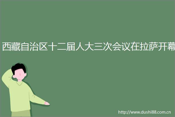 西藏自治区十二届人大三次会议在拉萨开幕