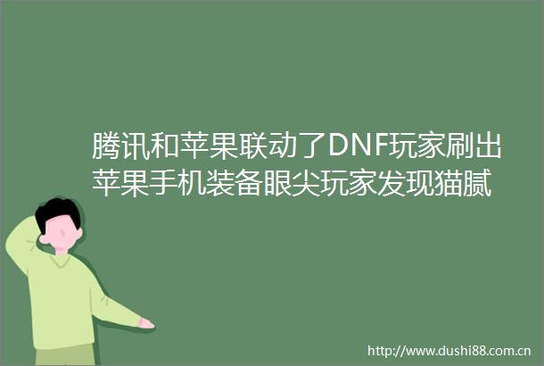 腾讯和苹果联动了DNF玩家刷出苹果手机装备眼尖玩家发现猫腻