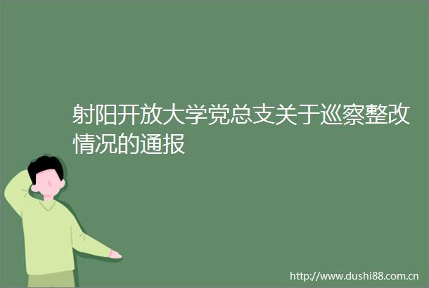 射阳开放大学党总支关于巡察整改情况的通报