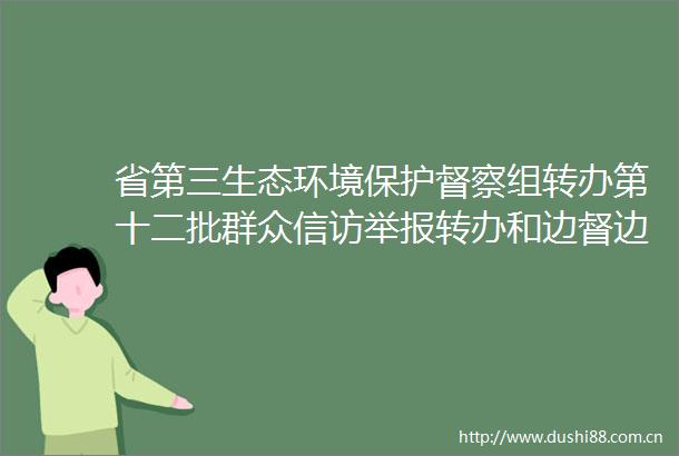 省第三生态环境保护督察组转办第十二批群众转办和边督边改公开情况一览表