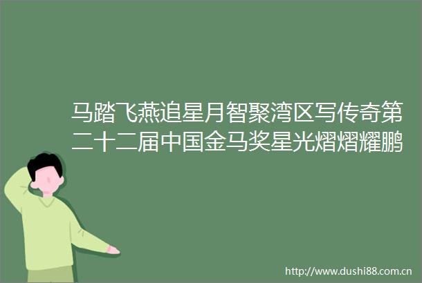 马踏飞燕追星月智聚湾区写传奇第二十二届金马奖星光熠熠耀鹏城