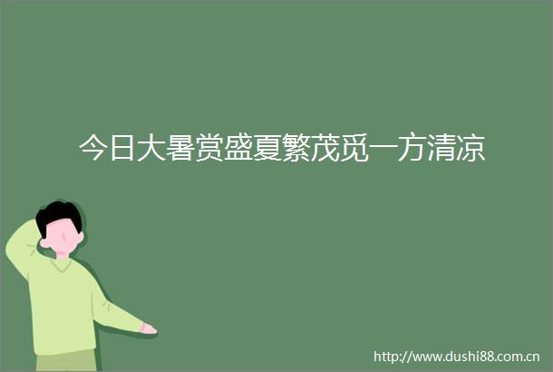 今日大暑赏盛夏繁茂觅一方清凉