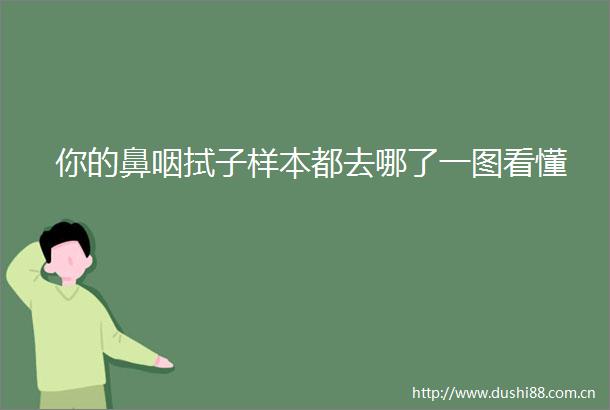 你的鼻咽拭子样本都去哪了一图看懂