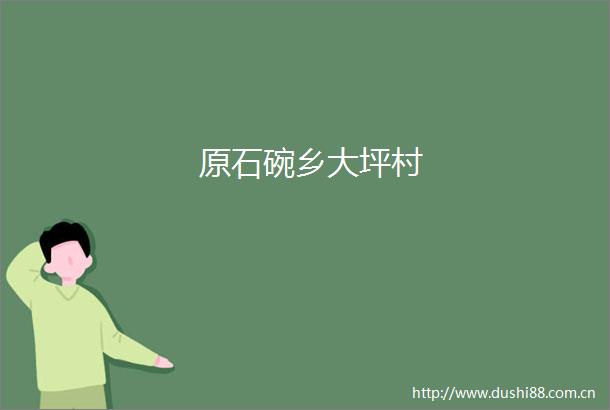 原石碗乡大坪村