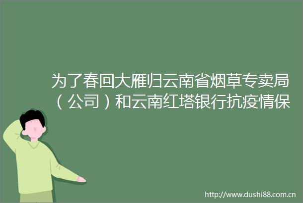 为了春回大雁归云南省烟草专卖局（公司）和云南红塔银行抗疫情保民生保增长工作纪实