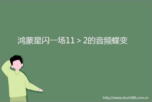 鸿蒙星闪一场11＞2的音频蝶变