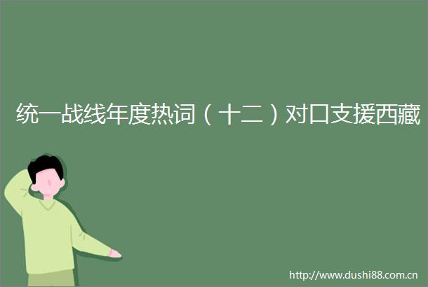 统一战线年度热词（十二）对口支援西藏