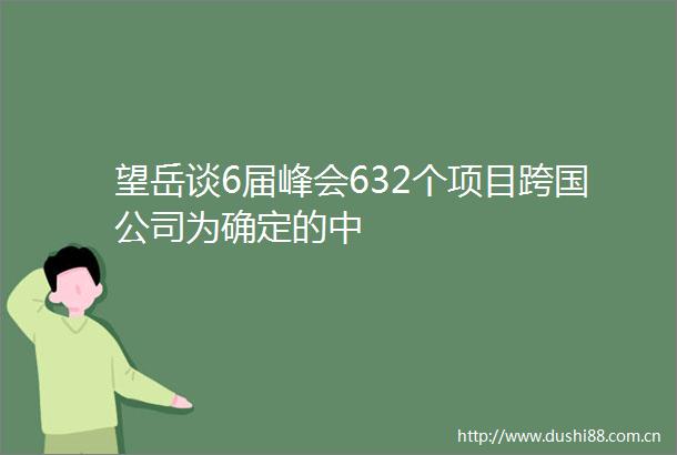 望岳谈6届峰会632个项目跨国公司为确定的中