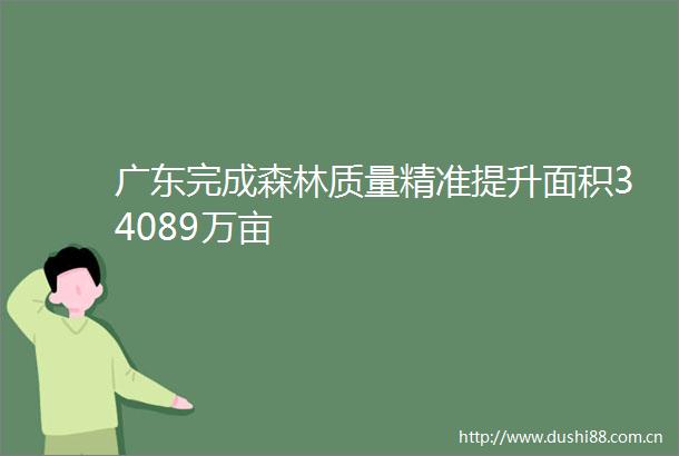 广东完成森林质量精准提升面积34089万亩